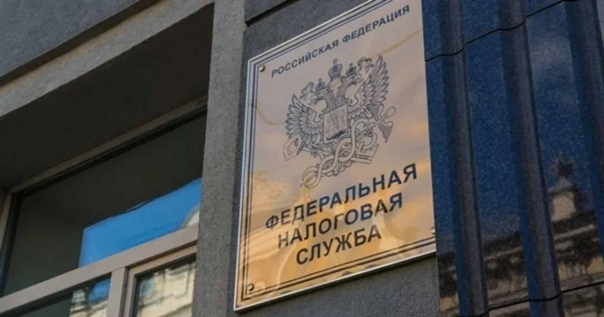 Иллюстрация с портала ФНС